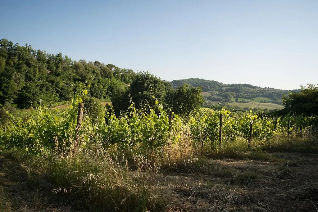 *** Bed & Breakfast B&B Le Dimore Mezza Costa Italy